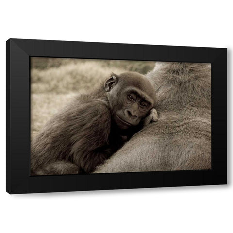 Security Black Modern Wood Framed Art Print with Double Matting by Parker, Susann