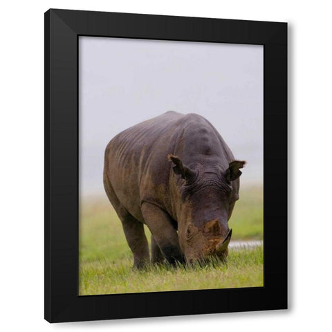 Relentless Black Modern Wood Framed Art Print with Double Matting by Parker, Susann