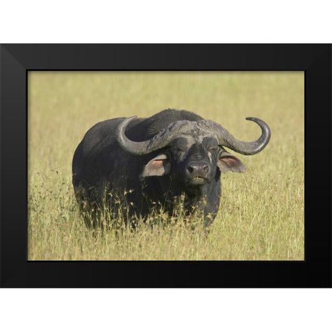 The Fixed Stare Black Modern Wood Framed Art Print by Parker, Susann