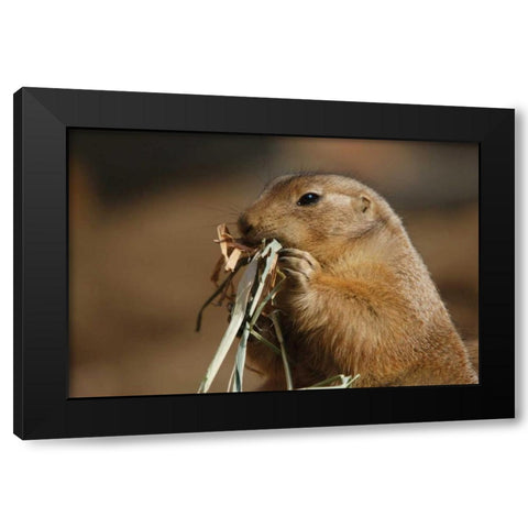 Soft Touch Black Modern Wood Framed Art Print with Double Matting by Parker, Susann