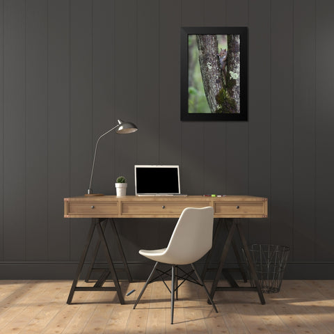 Squirreling Around Black Modern Wood Framed Art Print by Parker, Susann