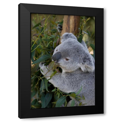 The Amiable Black Modern Wood Framed Art Print with Double Matting by Parker, Susann