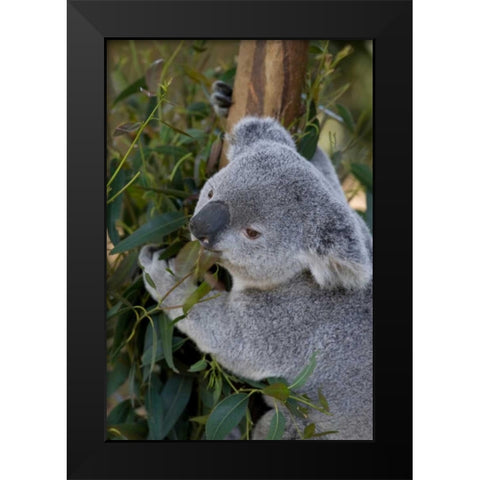 The Amiable Black Modern Wood Framed Art Print by Parker, Susann