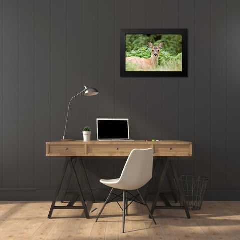 Auspicious Black Modern Wood Framed Art Print by Parker, Susann