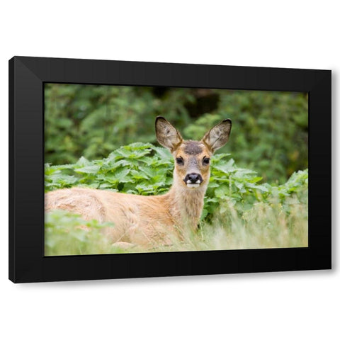 Auspicious Black Modern Wood Framed Art Print with Double Matting by Parker, Susann