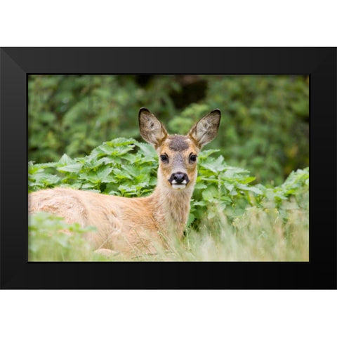 Auspicious Black Modern Wood Framed Art Print by Parker, Susann