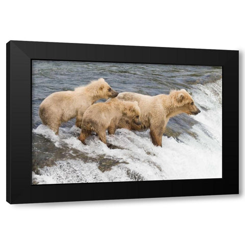 Day at the Falls Black Modern Wood Framed Art Print with Double Matting by Parker, Susann