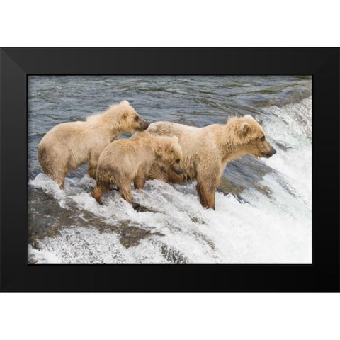 Day at the Falls Black Modern Wood Framed Art Print by Parker, Susann