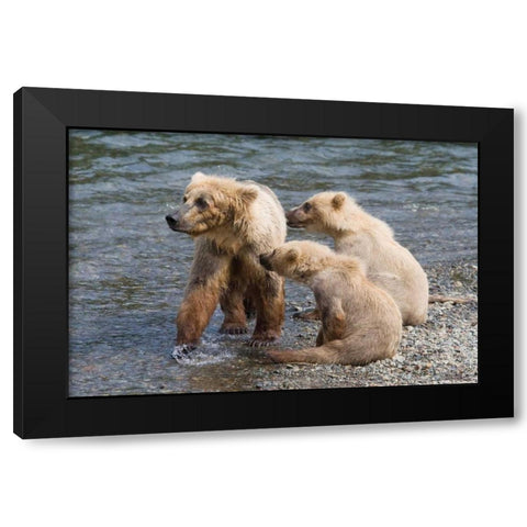 Training Day Black Modern Wood Framed Art Print with Double Matting by Parker, Susann