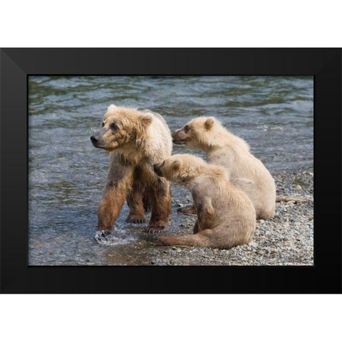 Training Day Black Modern Wood Framed Art Print by Parker, Susann