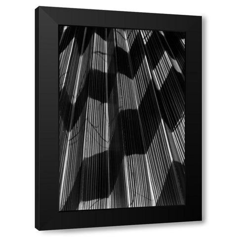Shadow I Black Modern Wood Framed Art Print by Peterson, Lee
