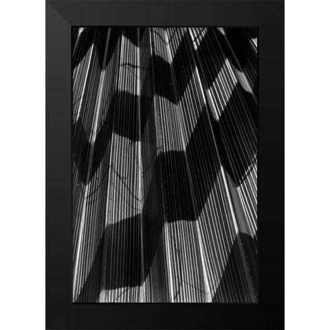 Shadow I Black Modern Wood Framed Art Print by Peterson, Lee
