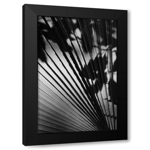 Shadow II Black Modern Wood Framed Art Print by Peterson, Lee