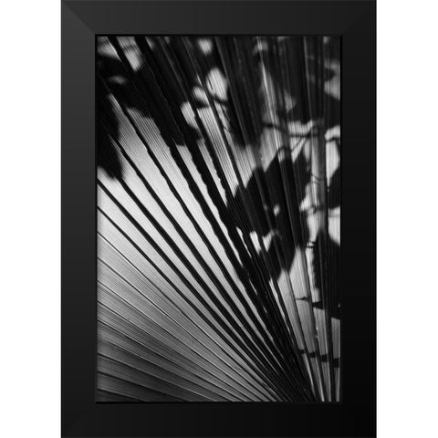 Shadow II Black Modern Wood Framed Art Print by Peterson, Lee