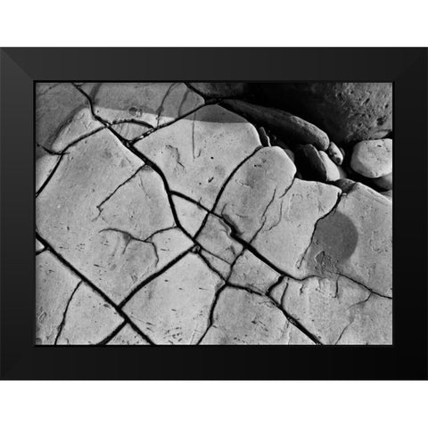 Texture II Black Modern Wood Framed Art Print by Peterson, Lee