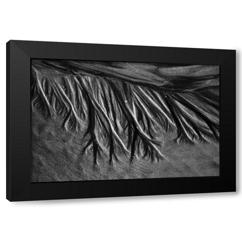 Texture Sand II Black Modern Wood Framed Art Print by Peterson, Lee