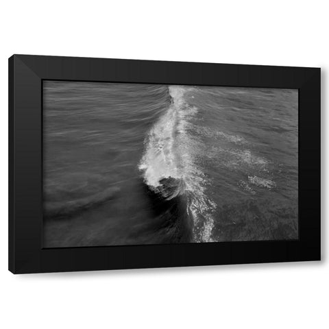 Wave I Black Modern Wood Framed Art Print by Peterson, Lee