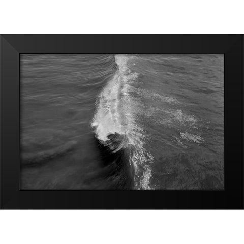 Wave I Black Modern Wood Framed Art Print by Peterson, Lee