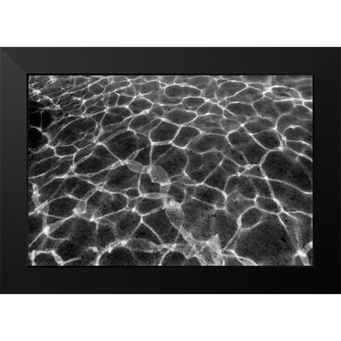 Underwater II Black Modern Wood Framed Art Print by Peterson, Lee