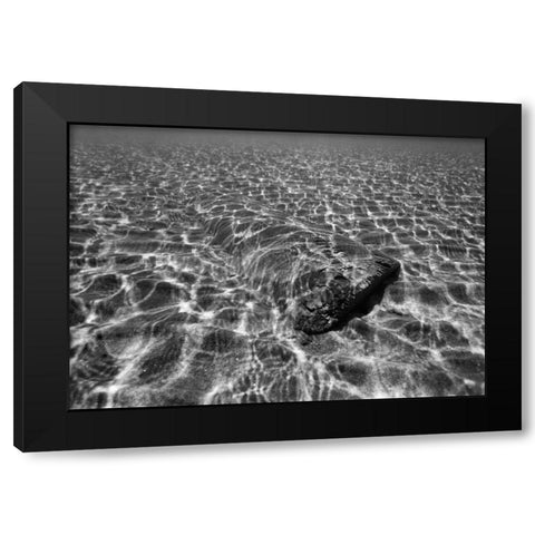 Underwater III Black Modern Wood Framed Art Print by Peterson, Lee