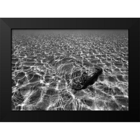 Underwater III Black Modern Wood Framed Art Print by Peterson, Lee