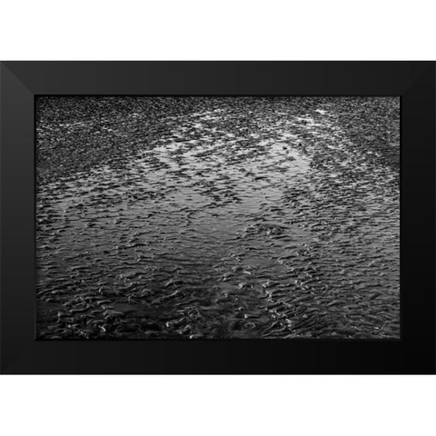 Beach Reflection I Black Modern Wood Framed Art Print by Peterson, Lee
