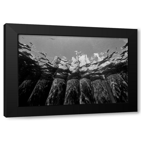 Pier Pilings I Black Modern Wood Framed Art Print by Peterson, Lee