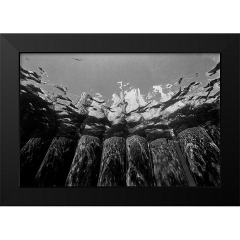 Pier Pilings I Black Modern Wood Framed Art Print by Peterson, Lee