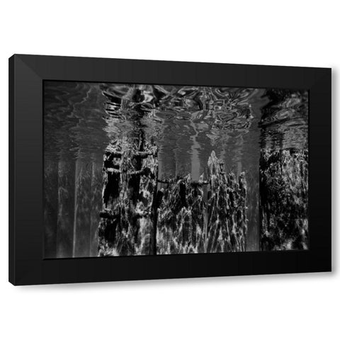 Pier Pilings II Black Modern Wood Framed Art Print by Peterson, Lee