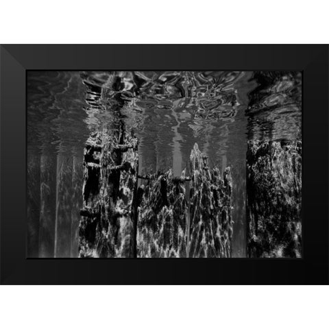 Pier Pilings II Black Modern Wood Framed Art Print by Peterson, Lee