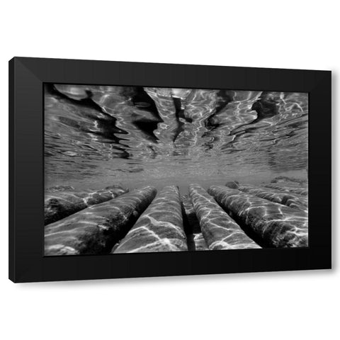 Pier Pilings III Black Modern Wood Framed Art Print with Double Matting by Peterson, Lee