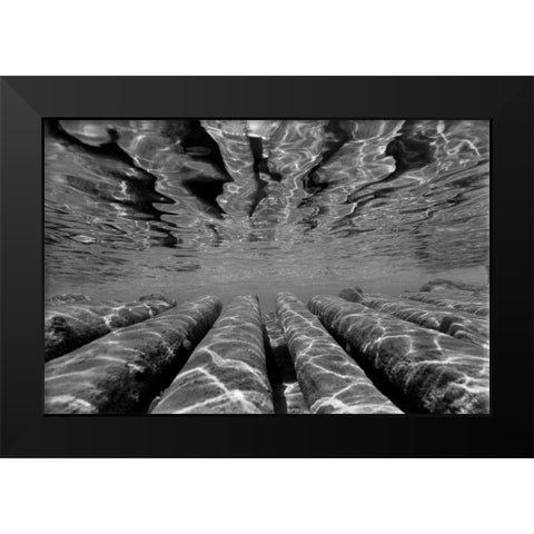Pier Pilings III Black Modern Wood Framed Art Print by Peterson, Lee