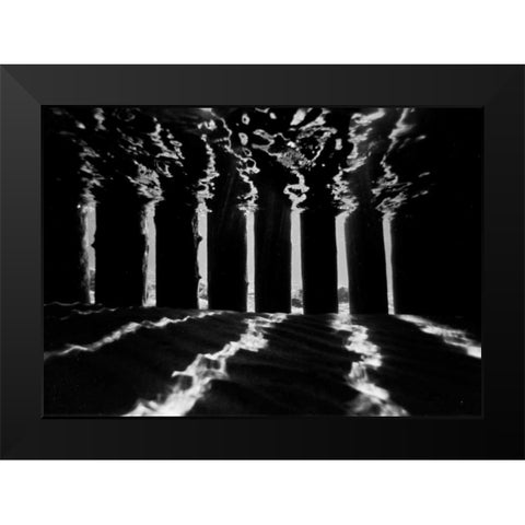 Pier Pilings IV Black Modern Wood Framed Art Print by Peterson, Lee