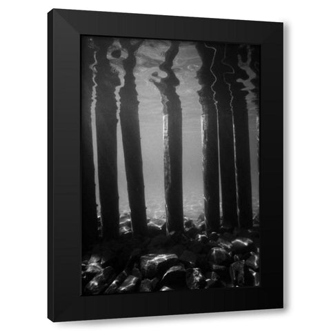 Pier Pilings V Black Modern Wood Framed Art Print by Peterson, Lee