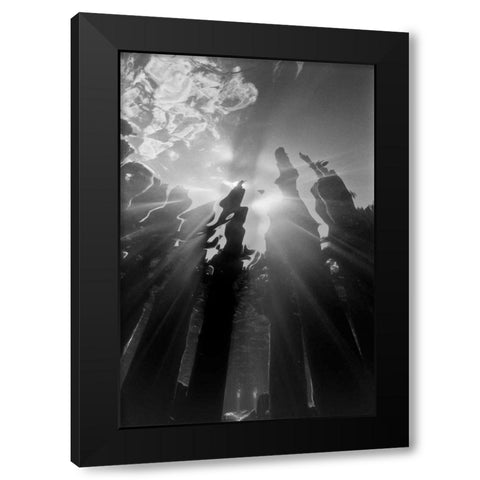 Pier Pilings VI Black Modern Wood Framed Art Print with Double Matting by Peterson, Lee