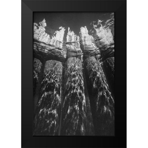 Pier Pilings VII Black Modern Wood Framed Art Print by Peterson, Lee