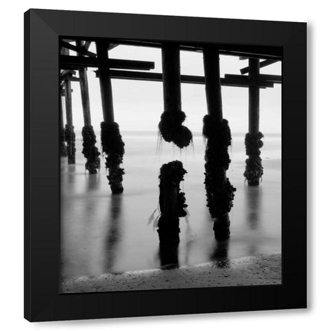 Pier Pilings X Black Modern Wood Framed Art Print by Peterson, Lee