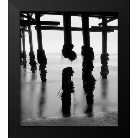 Pier Pilings X Black Modern Wood Framed Art Print by Peterson, Lee
