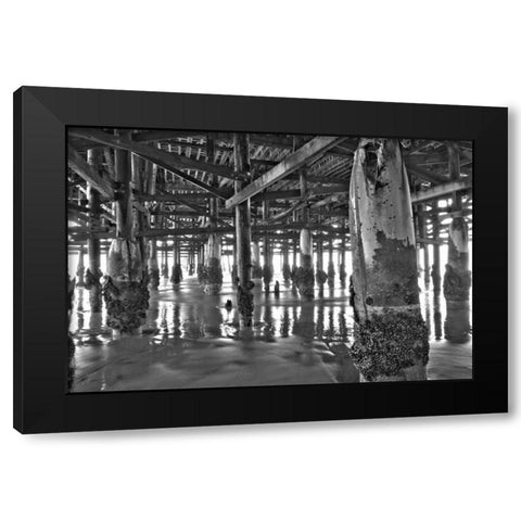 Pier Pilings XI Black Modern Wood Framed Art Print with Double Matting by Peterson, Lee