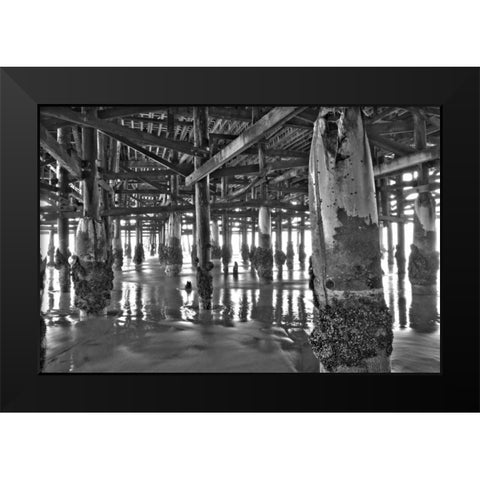 Pier Pilings XI Black Modern Wood Framed Art Print by Peterson, Lee