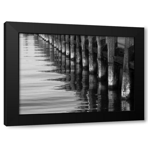 Pier Pilings XII Black Modern Wood Framed Art Print by Peterson, Lee