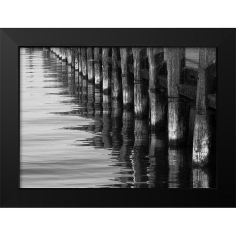 Pier Pilings XII Black Modern Wood Framed Art Print by Peterson, Lee