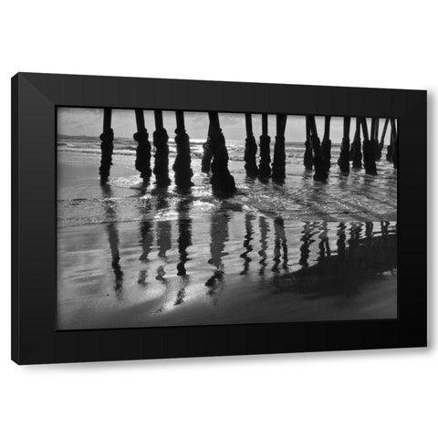 Pier Pilings XIII Black Modern Wood Framed Art Print by Peterson, Lee