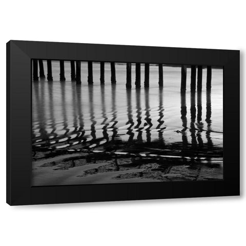 Pier Pilings XIV Black Modern Wood Framed Art Print with Double Matting by Peterson, Lee