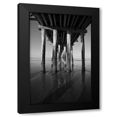 Pier Pilings XVI Black Modern Wood Framed Art Print with Double Matting by Peterson, Lee