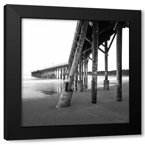 Pier Pilings XIX Black Modern Wood Framed Art Print with Double Matting by Peterson, Lee