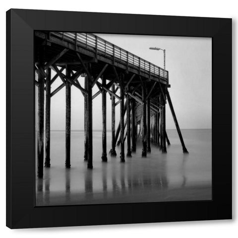 Pier Pilings XX Black Modern Wood Framed Art Print with Double Matting by Peterson, Lee