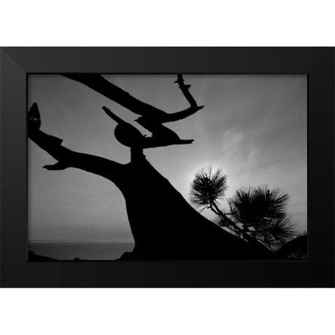 Tree I Black Modern Wood Framed Art Print by Peterson, Lee