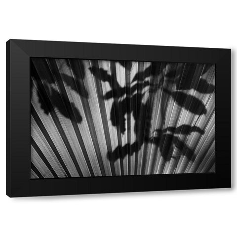 Shadow III Black Modern Wood Framed Art Print by Peterson, Lee