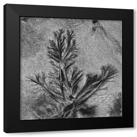 Texture Sand VIII Black Modern Wood Framed Art Print by Peterson, Lee